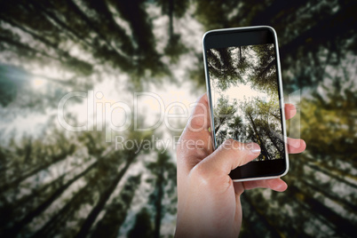 Composite image of close-up of hand holding smart phone