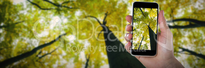 Composite image of cropped image of hand holding smart phone