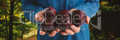 Composite image of mid section of woman holding plums