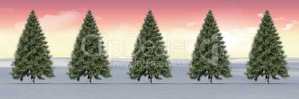 Christmas trees in winter landscape with sunset