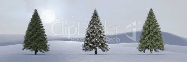 Christmas trees in winter landscape with foggy sky