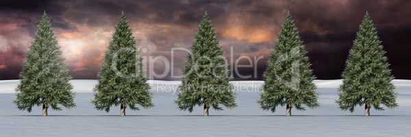 Christmas trees in winter landscape with dark sky