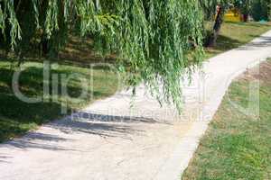 summer in city park