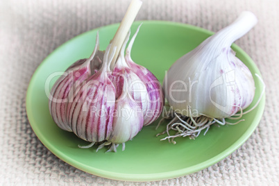 Two heads of garlic on a green ceramic plate.