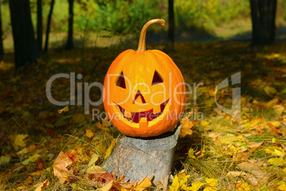 pumpkin-head and autumn forest
