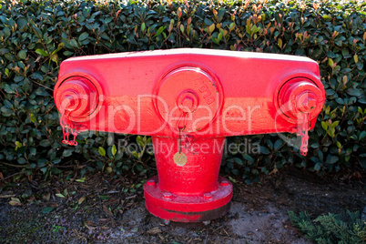 Fire Hydrant
