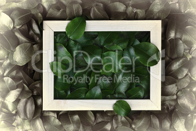 green leaves. Creative layout made of leaves with paper card note or frame. A flat lay. Nature concept