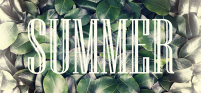 The concept: summer nature, summer vacation, travel. The inscription summertime in a white frame against a background of fresh and juicy green leaves.