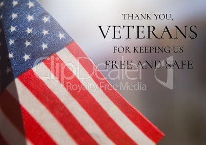 veterans day flag