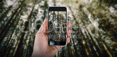 Composite image of cropped hand holding smart phone