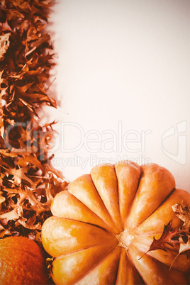 Overhead view of pumpkin and squash by autumn leaves