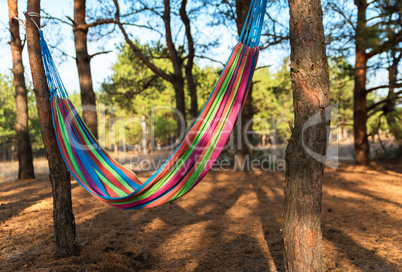 a textile hammock hanging between two pines