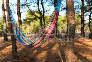 a textile hammock hanging between two pines