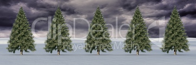 Christmas trees in winter landscape with dark clouds