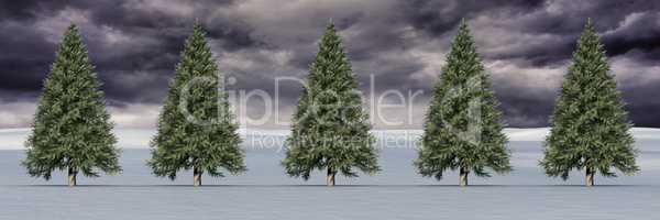 Christmas trees in winter landscape with dark clouds