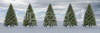 Christmas trees in winter landscape with sky clouds