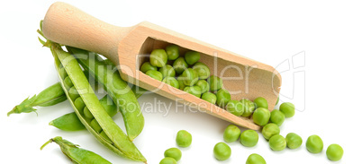 Green peas pods isolated on white