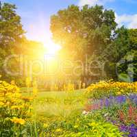 summer park with beautiful flowerbeds