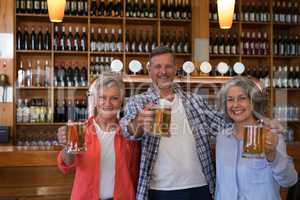 Smiling senior friends holding glass of beer in bar