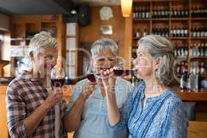 Female senior friends having red wine in restaurant