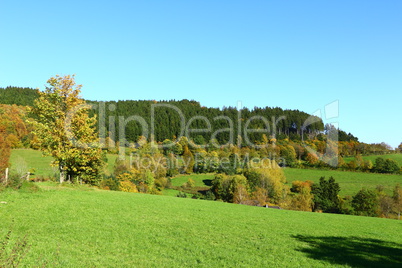 Herbst im Sauerland