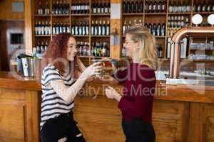 Two female friends toasting glass of beer at counter
