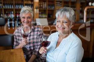 Two female senior friends having red wine in restaurant