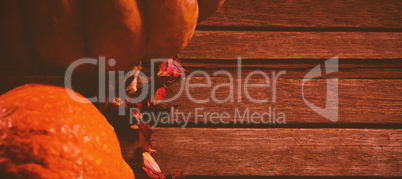 Pumpkins and petals on wooden table