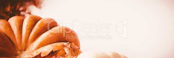 Pumpkin and squash with autumn leaves on white background