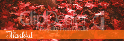 Composite image of thanksgiving greeting text