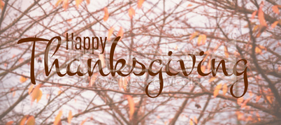 Composite image of illustration of happy thanksgiving day text greeting