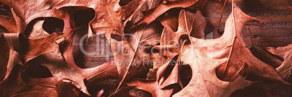 Autumn leaves on woden table during Christmas