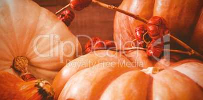 Close up of pumpkins and plant stems