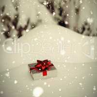 Gift on snow