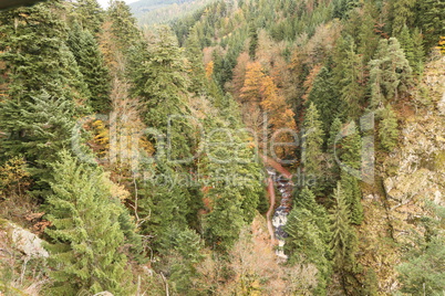 Herbst im Schwarzwald