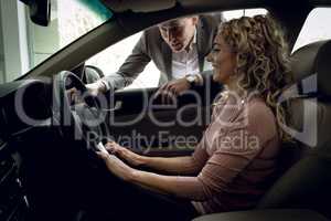 Salesman assisting customer sitting in car