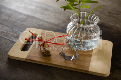 Wrapped cinnamons, cookie cutter and pot plant on chopping board