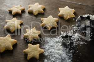 Gingerbread cookies with powdered sugar sprinkled on top
