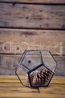 Pine cone in glass container
