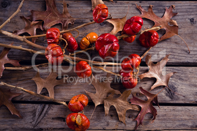 Dry leaves, branches and mistletoe on wooden plank