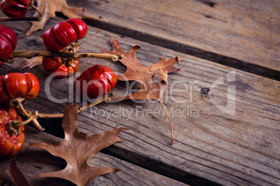 Dry leaves, branches and mistletoe on wooden plank
