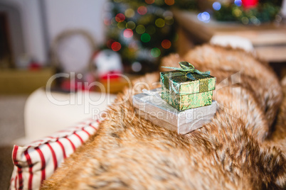 Gifts kept on sofa at home