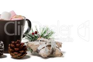 Chocolate drink and pines cones against white background