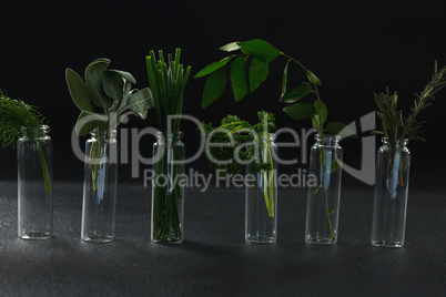 Various herbs in bottle