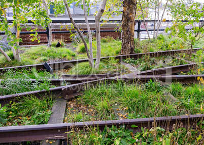 railways covered with grass and flowers
