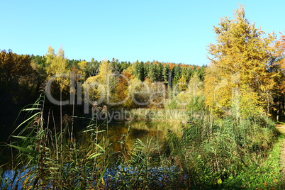 Herbst an den Fischteichen von Kloster Kirchberg