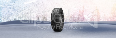 Tyre in Winter snow landscape