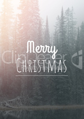 merry Christmas text on snow background