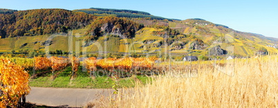 steile Weinlagen an der Mosel