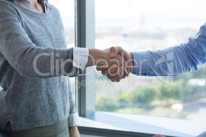 Male executive and female executive shaking hands with each other